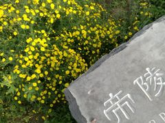 -汉景帝阳陵博物院