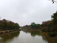 -上海海湾国家森林公园