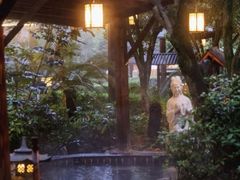 -明月山天沐温泉度假村