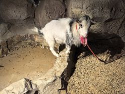 -酷嗒动物文化乐园(cutezoo西溪乐天城店)