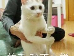 -江南大学-第一食堂(江南苑)