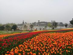 -金卉庄园