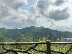 -梧桐山风景名胜区