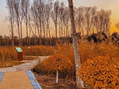 -东郊湿地公园