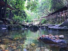 -天门沟九州驿站树上汤泉