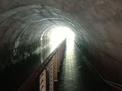 -白水寺森林公园