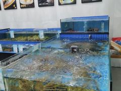 -渔满仓海鲜渔家(象山二店)