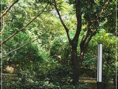 -深圳野生动物园