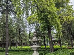 -洛阳白马寺