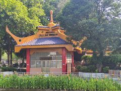 -金砂公园