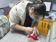 -渲嗳动物医院(异宠·复杂内科转诊中心·玖洲道富华里分院)