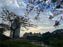 -厦门大学(思明校区)