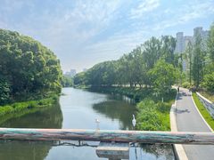 -昆山城市生态森林公园