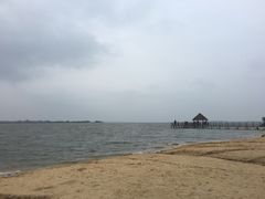 -瑶湖郊野森林公园