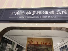 -花之城