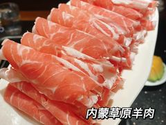 -巴奴毛肚火锅(九洲店)