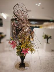 -今日陶艺(富力广场店)