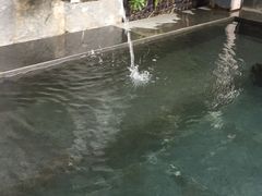-明谷行馆·温泉