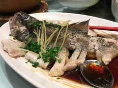 清蒸鲈鱼-眉州东坡(华联万柳店)