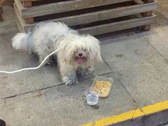 -布吉佳兆业广场