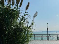 -深圳湾公园(南山区)