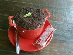 盆栽拿铁-MIKAKU(万达广场上海宝山店)