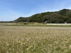 -岚山嵯峨野观光小火车