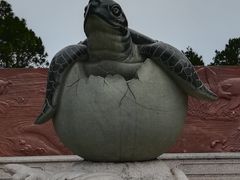 -广东惠东海龟国家级自然保护区