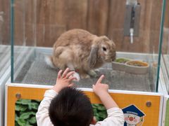 -杭州开元森泊度假乐园