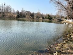 -长广溪湿地公园