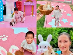 -渔岛海洋度假区