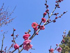 -江苏三台山国家森林公园