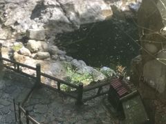 -泽雅七瀑涧景区