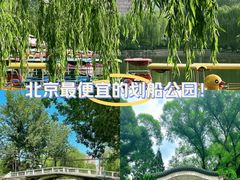 -团结湖公园
