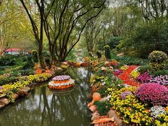 -上海共青森林公园