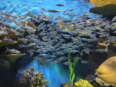 -华夏文旅西安度假区