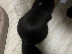 -联合动物医院(光谷诊疗中心)