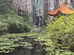 -莫干山风景区