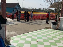 -百万葵园