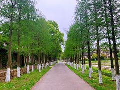 -乌村