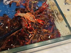 -川骄海鲜自助(河东店)