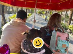 -合肥滨湖国家森林公园