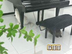 点击看大图 -熙.Hair 丨专注女子中长发丨