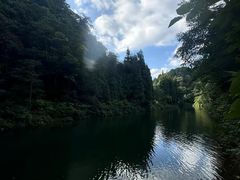 -龙苍沟森林公园