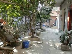 -小洲村