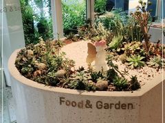 -春树下·树屋花房西餐厅(罍街AS1980店)