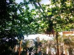-飞虎过桥米线(翠湖店)