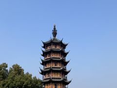 -红梅公园