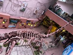 -陕西自然博物馆