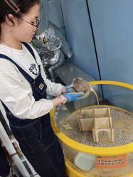 -神奇动物撸宠馆·羊驼·小浣熊·异宠(豫园店)
